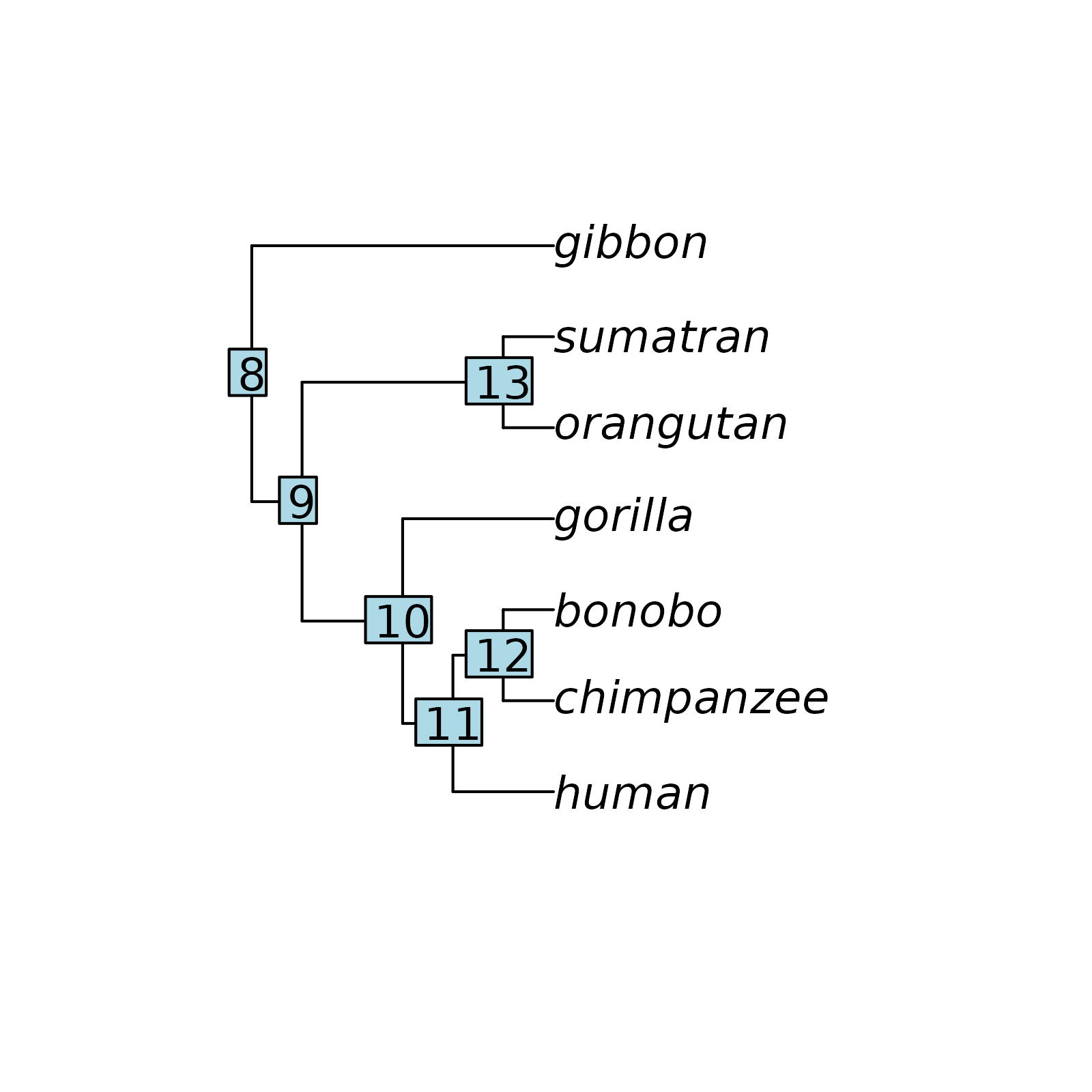 **Figure 1** Plot of the tree with node labelled with numbers