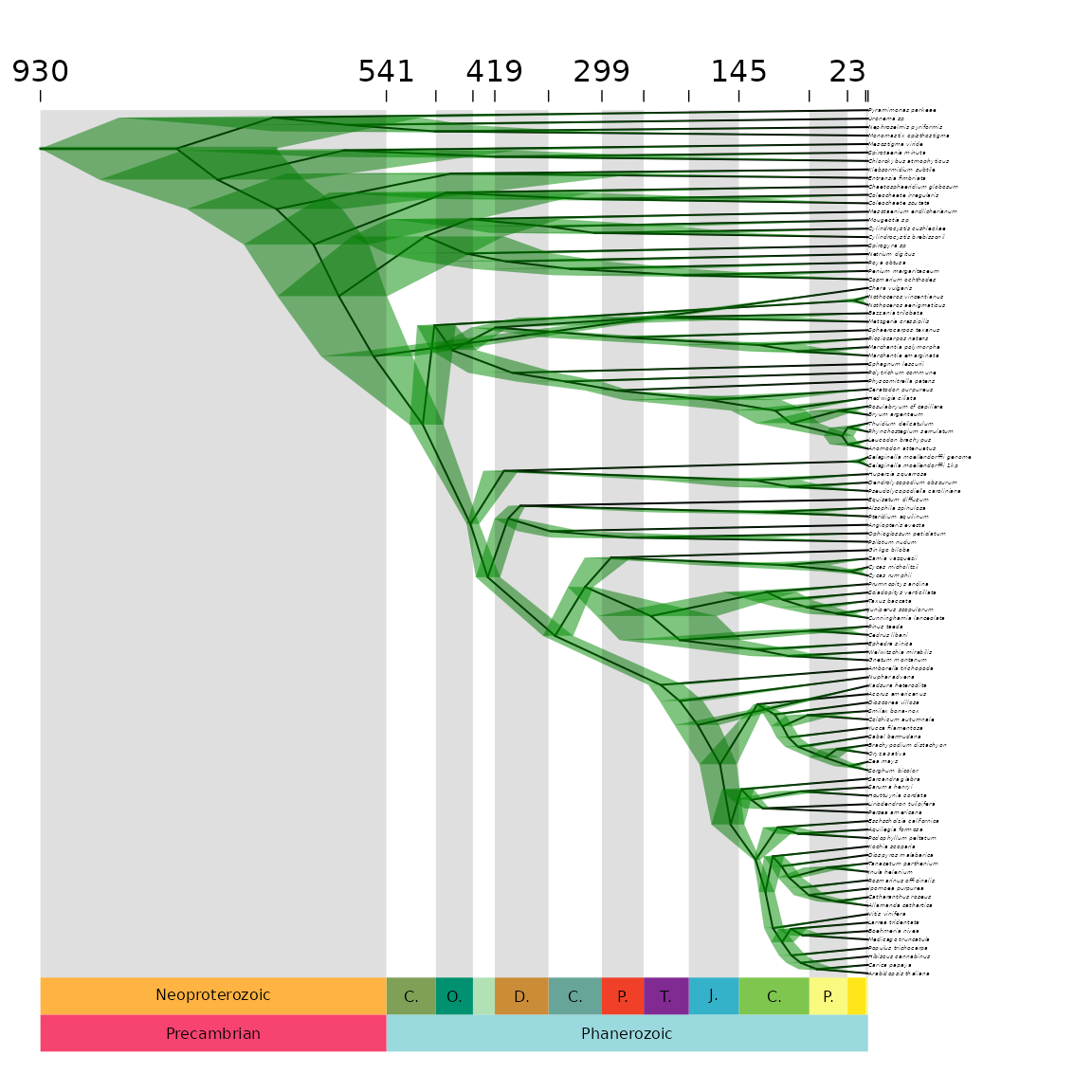 **Figure 6** Cladogram plot