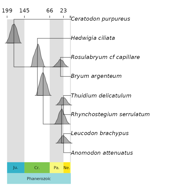 **Figure 10** Phylogeny showing the node and tip labels.