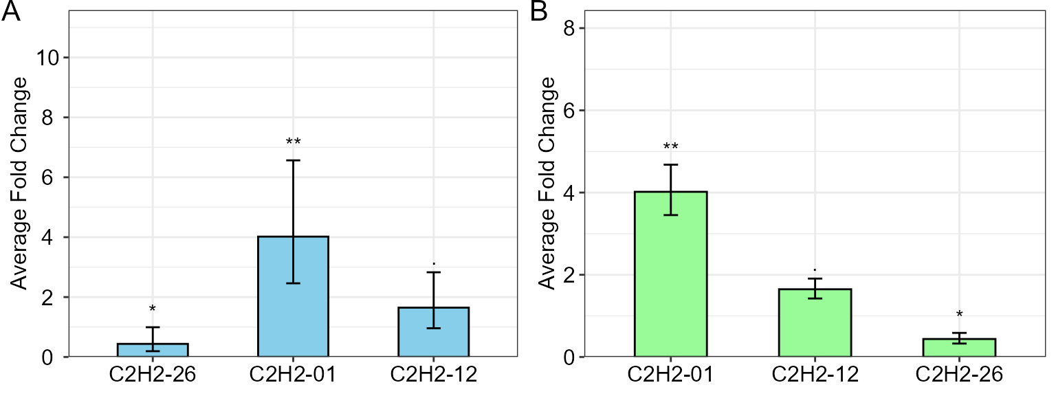 Average Fold changes of three target genes relative to the control condition computed by unpaired t-tests via `qpcrTTESTplot` function. Confidence interval (ci) and standard error (se) has been used as error bar in 'A' and 'B', respectively.